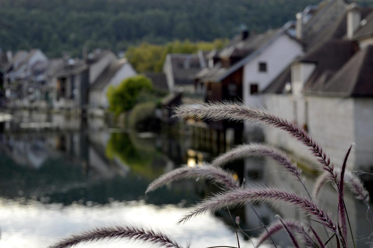 Hotel De France Ornans Exterior photo